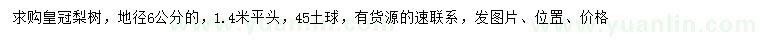 求購地徑6公分皇冠梨