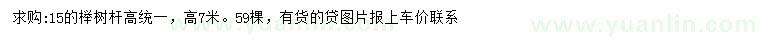 求購(gòu)15公分櫸樹(shù)