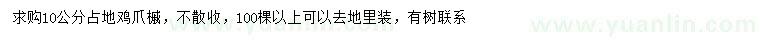 求購10公分雞爪槭