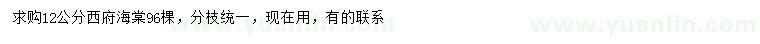 求購12公分西府海棠
