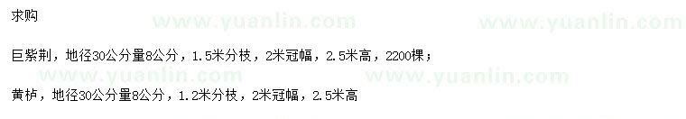 求購(gòu)30量8公分巨紫荊、黃櫨