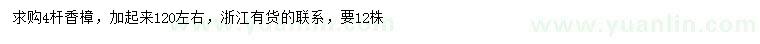 求購4桿香樟