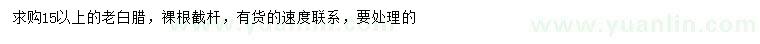 求購15公分以上老白蠟