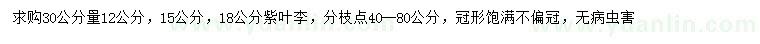 求購30量12、15、18公分紫葉李