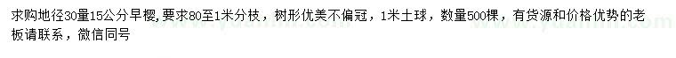 求購30量15公分早櫻