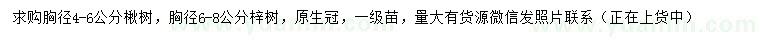 求購胸徑4-6公分楸樹、胸徑6-8公分梓樹