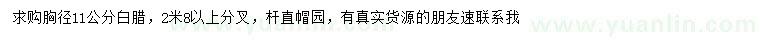 求購胸徑11公分白蠟