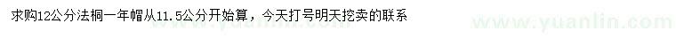 求購11.5公分以上法桐