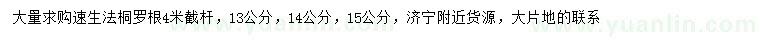 求購13、14、15公分速生法桐