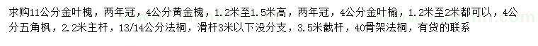 求購(gòu)金葉槐、黃金槐、金葉榆等