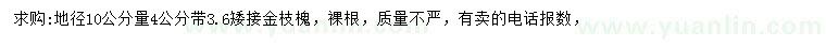 求購10量3.6公分以上金枝槐