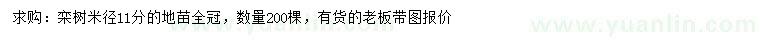 求購米徑11公分欒樹