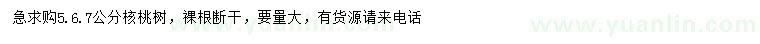 求購(gòu)5、6、7公分核桃樹