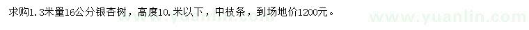 求購1.3米量16公分銀杏