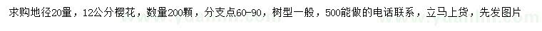 求購20量12公分櫻花