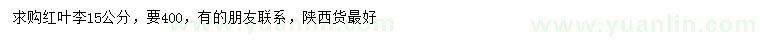 求購(gòu)15公分紅葉李