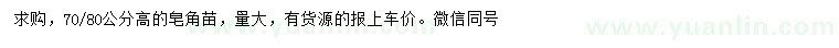 求購高70、80公分皂角