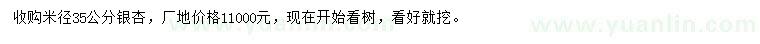 求購米徑35公分銀杏