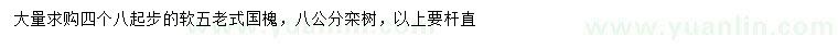 求購4.8公分老式國槐、8公分欒樹