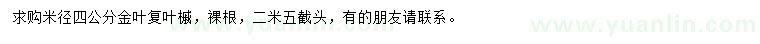 求購米徑4公分金葉復(fù)葉槭