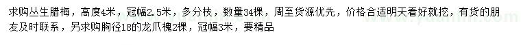 求購高4米叢生臘梅、胸徑18公分龍爪槐
