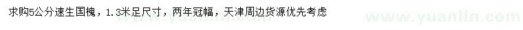 求購1.3米量5公分速生國槐