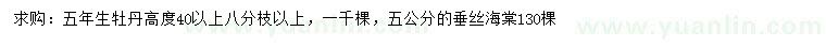 求購高40公分以上牡丹、5公分垂絲海棠