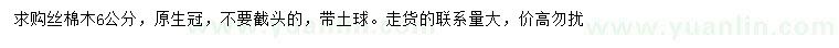 求購6公分絲棉木