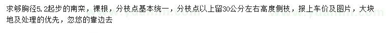 求購胸徑5.2公分以上南欒