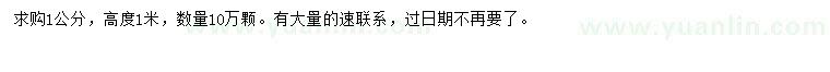 求購1公分臘梅