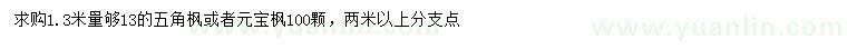 求購1.3米量13公分五角楓、元寶楓