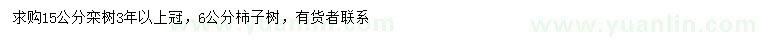 求購15公分欒樹、6公分柿子樹