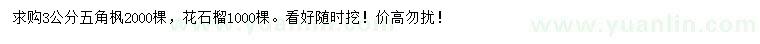 求購3公分五角楓、花石榴