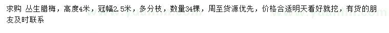 求購(gòu)高4米叢生臘梅
