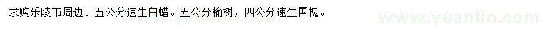求購(gòu)速生白蠟、榆樹、速生國(guó)槐