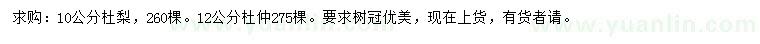 求購10公分杜梨、12公分杜仲