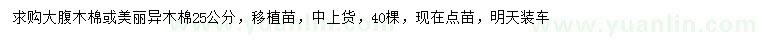 求購25公分大腹木棉、美麗異木棉