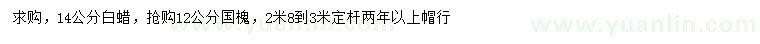 求購14公分白蠟、12公分國槐