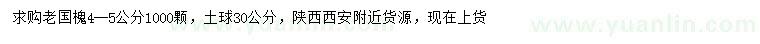 求購4-5公分老國槐