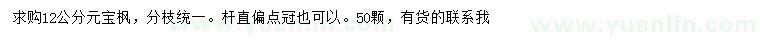 求購12公分元寶楓
