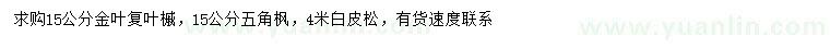 求購金葉復葉槭、五角楓、白皮松