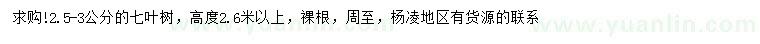 求購2.5-3公分七葉樹