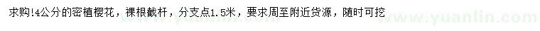 求購(gòu)4公分櫻花