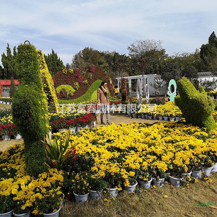 仿真植物綠雕 可定制造型工藝品 綠色草坪雕塑造型 