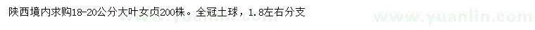 求購18-20公分大葉女貞