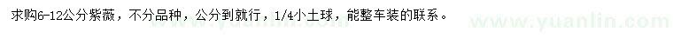 求購6至12公分紫薇