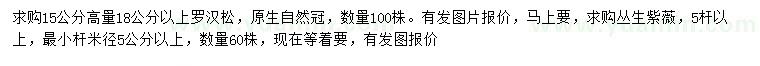 求購15量18公分以上羅漢松、5桿以上叢生紫薇