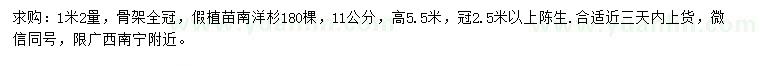 求購1.2米量11公分南洋杉