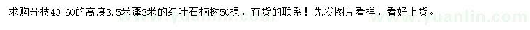 求購高度3.5米紅葉石楠