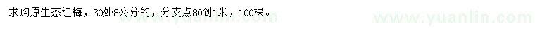 求購(gòu)8公分紅梅